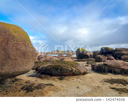 Moss covered granite boulders on sandy shore in Tregastel Brittany France Moss covered granite boulders on sandy shore in Tregastel Brittany France 142474036