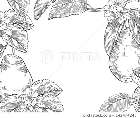 Vector frame with pears, leaves and blossoming flowers of a fruit tree. Everything is hand-drawn in ink. Vintage botanical frame with copy space for menus, greeting cards, packaging and labels. Vector frame with pears, leaves and blossoming flowers of a fruit tree. Everything is hand-drawn in ink. Vintage botanical frame with copy space for menus, greeting cards, packaging and labels. 142474245