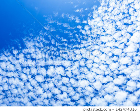 A simple landscape of refreshing blue skies and ethereal autumn clouds. A simple landscape of refreshing blue skies and ethereal autumn clouds. 142474316