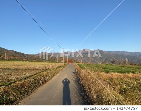 The crisp air before dusk, the long shadows stretching across a straight country road. 142474757