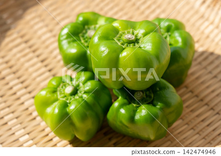 神樂辣椒,一種傳統蔬菜,盛於篩子上食用(九月) 神樂辣椒,一種傳統蔬菜,盛於篩子上食用(九月) 142474946