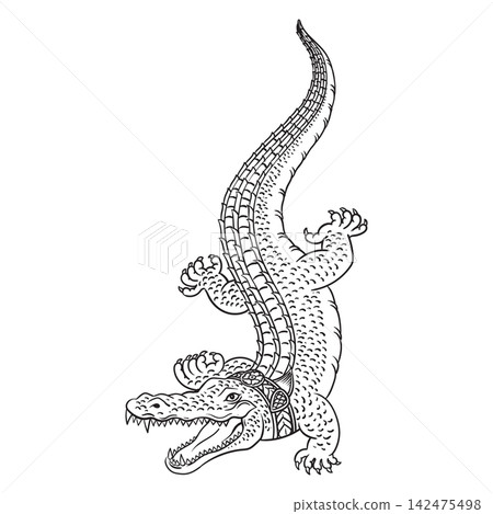 Illustration of traditional thai Crocodile Tattoos Illustration of traditional thai Crocodile Tattoos 142475498
