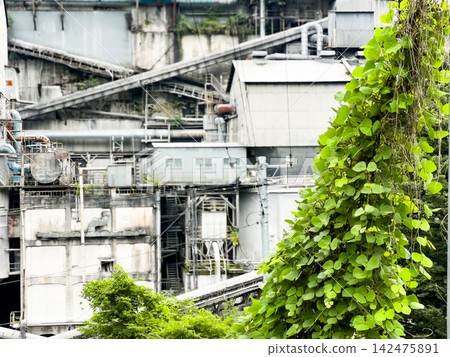 Vibrant green ivy covers the concrete structures of heavy industrial plants. Vibrant green ivy covers the concrete structures of heavy industrial plants. 142475891