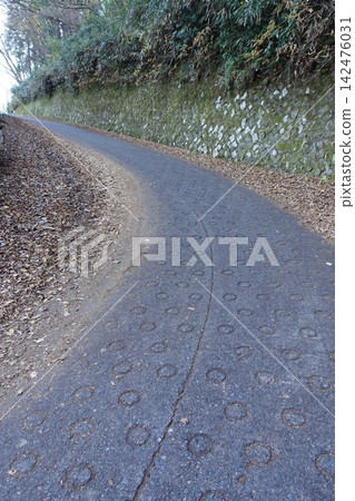 Autumn roads and slopes with fallen leaves piled up on the roadside. Autumn roads and slopes with fallen leaves piled up on the roadside. 142476031