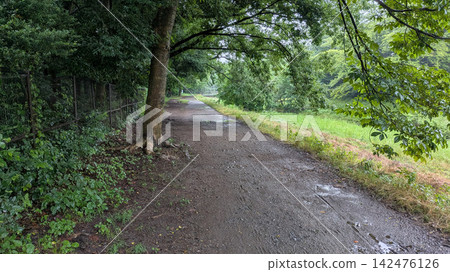 Green road Green road 142476126