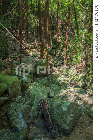 大阪府交野市石寺川、石寺翡翠之影 大阪府交野市石寺川、石寺翡翠之影 142476170