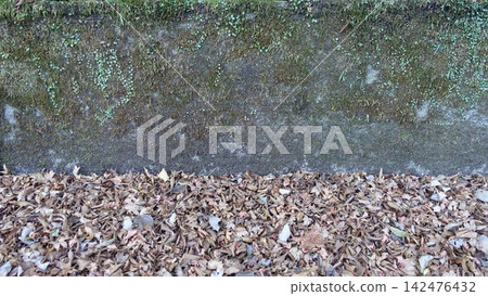 A pile of fallen leaves and an old concrete wall 142476432