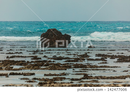 沖繩海岸浪花與礁岩交織的潮間帶 沖繩海岸浪花與礁岩交織的潮間帶 142477006
