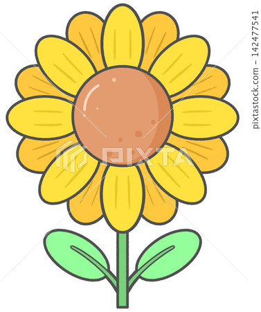 Cute cartoon blooming sunflower for spring summer garden 142477541