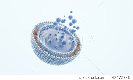 3DCG skincare image showing serum molecules diffusing from cross-sections of liposomes and exosomes. 3DCG skincare image showing serum molecules diffusing from cross-sections of liposomes and exosomes. 142477888