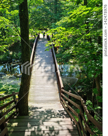 This is a walking path with a wooden deck. This is a walking path with a wooden deck. 142478976