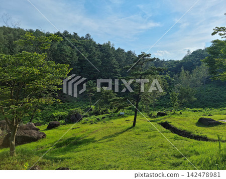 This is a dolmen park located in Jeolla-do, South Korea. This is a dolmen park located in Jeolla-do, South Korea. 142478981