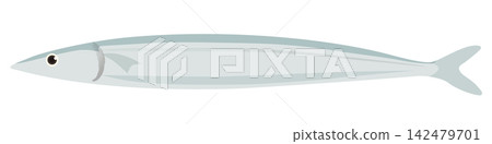 Simple vector illustration of a saury Simple vector illustration of a saury 142479701
