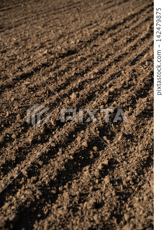 Tilled agricultural field soil showing furrows, ready for planting crops in farming season Tilled agricultural field soil showing furrows, ready for planting crops in farming season 142479875