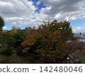 秋天的天空 142480046