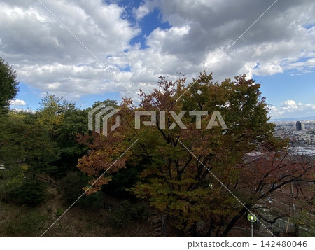 秋天的天空 秋天的天空 142480046