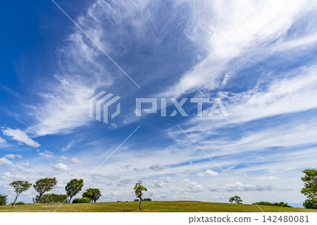 夏天的藍天、白雲和草地 夏天的藍天、白雲和草地 142480081