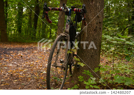 Narrow Forest Trail Through Lush Green Vegetation Narrow Forest Trail Through Lush Green Vegetation 142480207