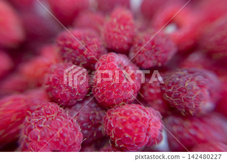 Close-up of fresh ripe raspberries with selective focus and shallow depth of field. Detailed red summer berries showing natural texture for food, nutrition and healthy eating concepts Close-up of fresh ripe raspberries with selective focus and shallow depth of field. Detailed red summer berries showing natural texture for food, nutrition and healthy eating concepts 142480227