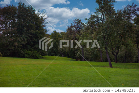 Peaceful Green Park Lawn with Trees and Open Landscape Peaceful Green Park Lawn with Trees and Open Landscape 142480235