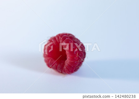 Single ripe raspberry isolated on a white background with soft shadow and large copy space. Minimal food composition showing red berry shape and texture for healthy eating and fresh food 142480238
