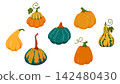 Cute autumn pumpkin and gourd in different shapes and colors set isolated on white. Whimsical fall harvest, Thanksgiving, Halloween decoration 142480430