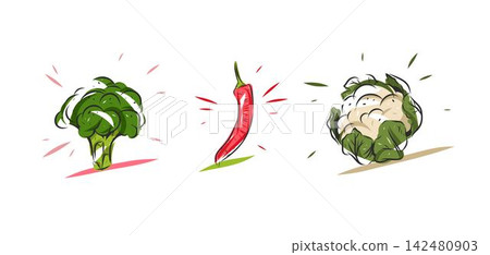 Fresh Vegetable Illustration Set with Broccoli, Red Chili Pepper and Cauliflower, Colorful Hand Drawn Healthy Organic Food Vector Design Elements Isolated on White Fresh Vegetable Illustration Set with Broccoli, Red Chili Pepper and Cauliflower, Colorful Hand Drawn Healthy Organic Food Vector Design Elements Isolated on White 142480903