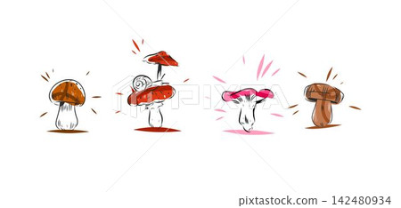 Wild Forest Mushroom Vector Set with Snail, Hand Drawn Colorful Edible Fungi Collection, Autumn Woodland Foraging and Botanical Nature Illustrations 142480934