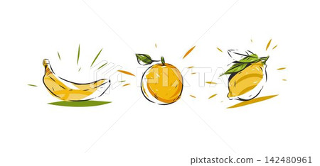 Fresh Fruit Illustration Set with Banana, Orange and Lemon, Colorful Hand Drawn Citrus and Tropical Fruits, Healthy Food Vector Design Elements Isolated on White. 142480961
