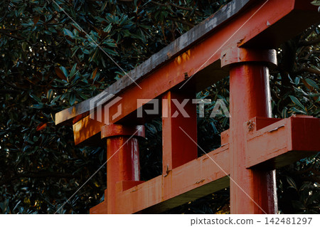 Traditional Red Torii Gate in Japanese Garden Traditional Red Torii Gate in Japanese Garden 142481297