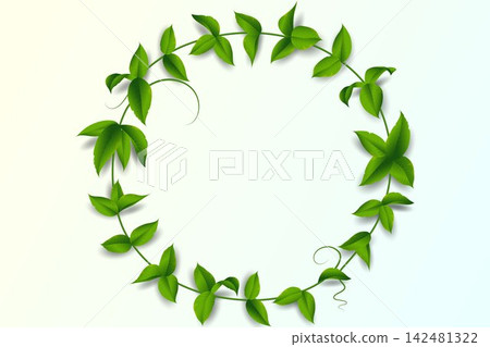 Fresh green vine with foliage creating an organic round border against light background Fresh green vine with foliage creating an organic round border against light background 142481322