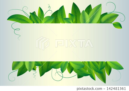 Fresh green leaves forming a natural border or frame for text or graphics Fresh green leaves forming a natural border or frame for text or graphics 142481361