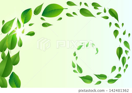 Fresh green leaves creating a dynamic spiral pattern against a soft ecological gradient 142481362