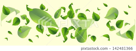 Green leaves floating and swirling against a light background representing freshness and nature Green leaves floating and swirling against a light background representing freshness and nature 142481366