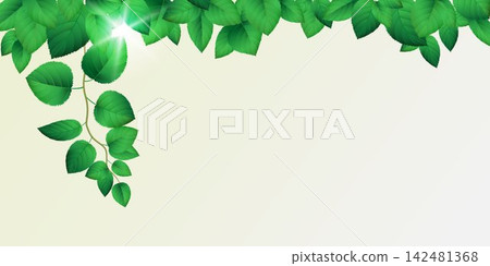 Vibrant green leaves forming a corner frame with a bright natural background Vibrant green leaves forming a corner frame with a bright natural background 142481368