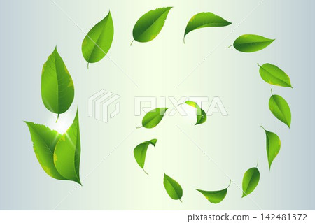 Green leaves creating a swirling pattern, representing nature, growth, and environmental concepts Green leaves creating a swirling pattern, representing nature, growth, and environmental concepts 142481372