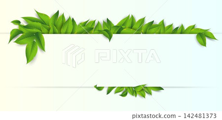 Fresh green leaves border a blank banner with copy space, representing nature and ecology concepts Fresh green leaves border a blank banner with copy space, representing nature and ecology concepts 142481373