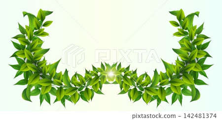 Green leaves forming a natural arch frame with a subtle light burst in the center Green leaves forming a natural arch frame with a subtle light burst in the center 142481374