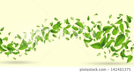 Green leaves flying and flowing in air, creating a fresh organic spring background Green leaves flying and flowing in air, creating a fresh organic spring background 142481375