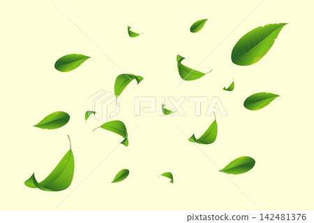 Green leaves flying and falling against a light background creating a sense of freshness Green leaves flying and falling against a light background creating a sense of freshness 142481376