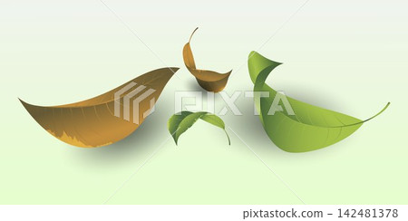 Stylized leaves illustrating the natural cycle of growth and decay on a light green background Stylized leaves illustrating the natural cycle of growth and decay on a light green background 142481378