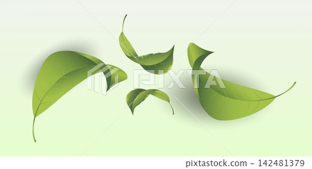 Green leaves floating and swirling against a light gradient background, symbolizing nature and freshness Green leaves floating and swirling against a light gradient background, symbolizing nature and freshness 142481379