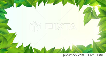 Green leaves creating a natural frame with sunlight, offering copy space for designs Green leaves creating a natural frame with sunlight, offering copy space for designs 142481381