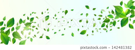 Green leaves flying against a light background, symbolizing freshness, spring, and environmental concepts Green leaves flying against a light background, symbolizing freshness, spring, and environmental concepts 142481382