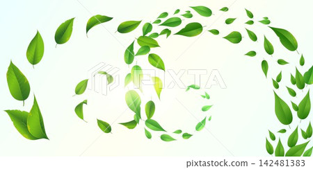 Fresh green leaves creating a vibrant swirling spiral pattern against a light background Fresh green leaves creating a vibrant swirling spiral pattern against a light background 142481383