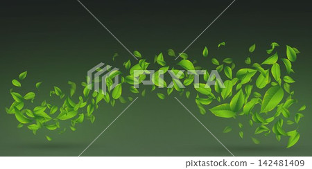 Fresh green leaves flying in a gentle wave pattern on dark background Fresh green leaves flying in a gentle wave pattern on dark background 142481409