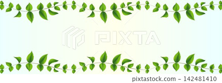 Fresh green leaves forming a clean, organic frame against a clear background, providing copy space Fresh green leaves forming a clean, organic frame against a clear background, providing copy space 142481410