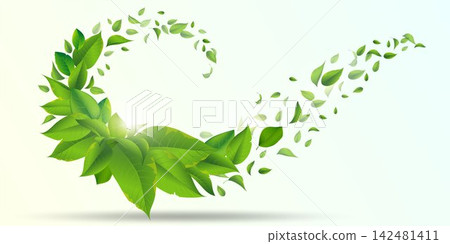 Green leaves are flowing in a dynamic spiral, symbolizing nature, growth, and eco friendly freshness 142481411