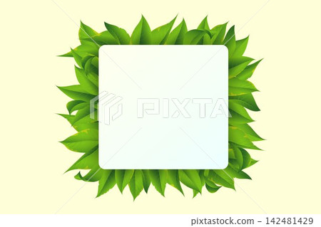 Green leaves forming a frame around a blank white rounded square with copy space Green leaves forming a frame around a blank white rounded square with copy space 142481429