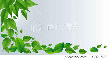 Green leaves forming a natural frame on a subtle gradient background, perfect for spring or eco themes Green leaves forming a natural frame on a subtle gradient background, perfect for spring or eco themes 142481430